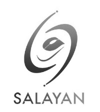 salayan شرکت برنامه نویسی صلایان